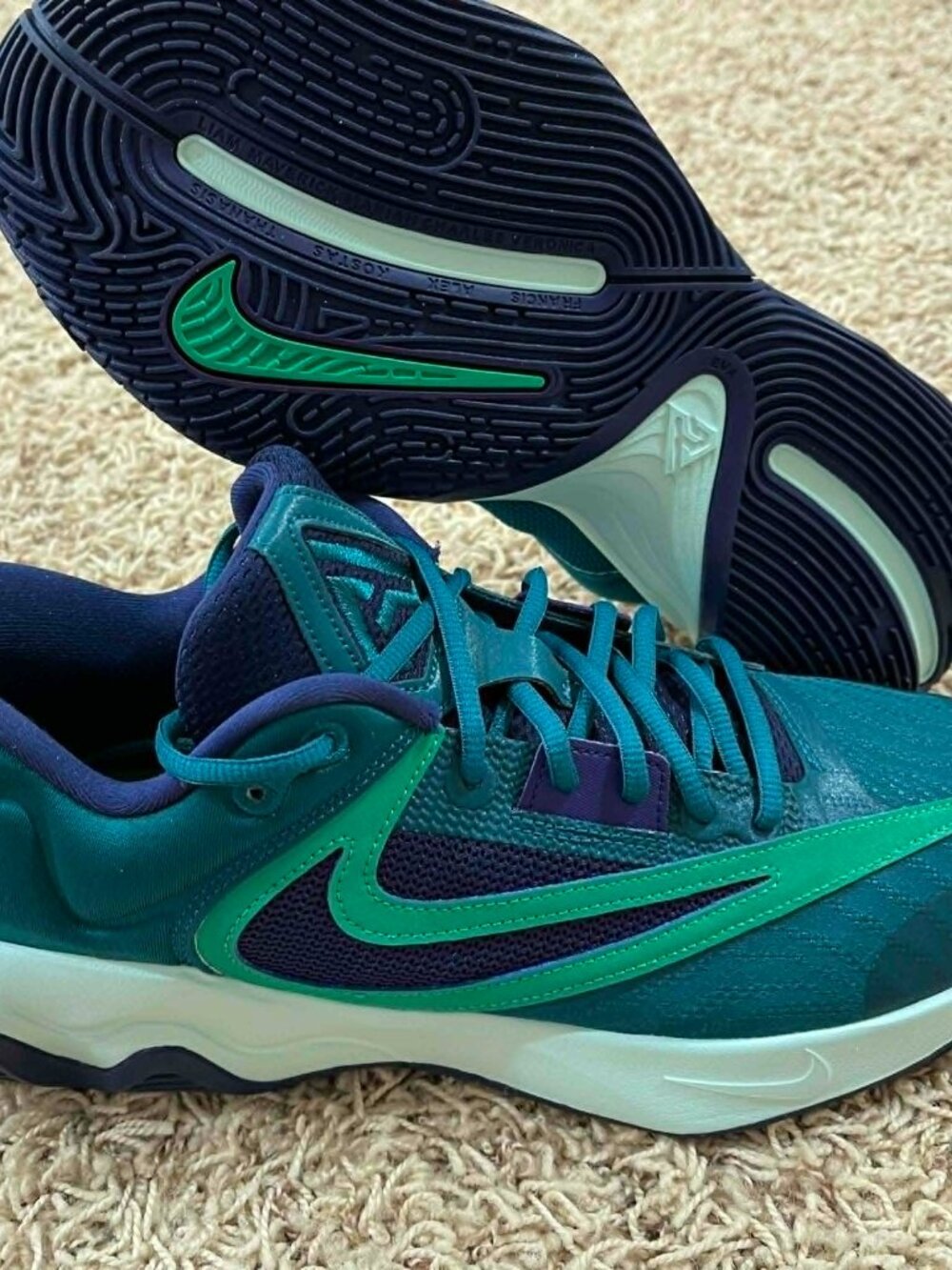 Nike Men's Giannis Immortality 3 Basketball Shoes Teal DZ7533-301, Size 11 (New)